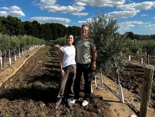 La ruta del olivo: el nuevo circuito turístico entre campos bonaerenses
