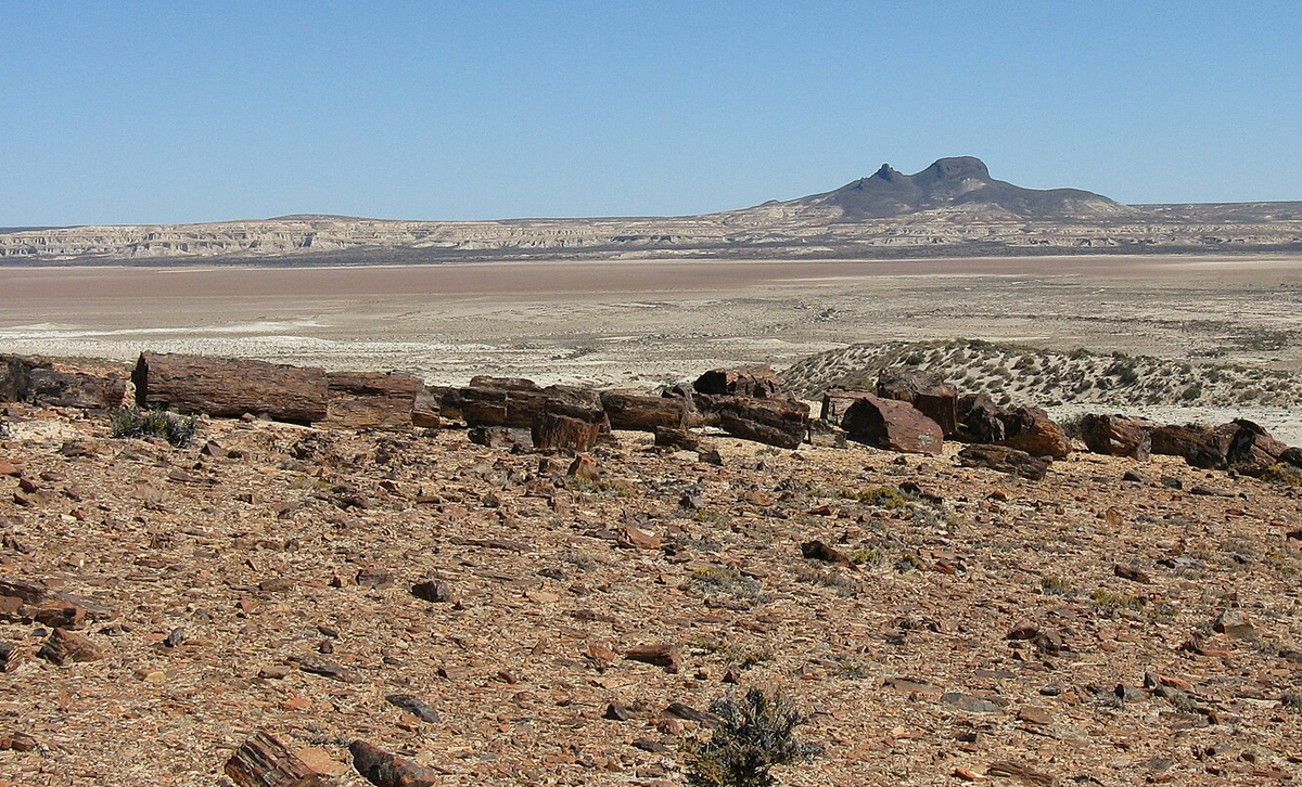Bosques Petrificados de Jaramillo [Foto: Wikipedia]
