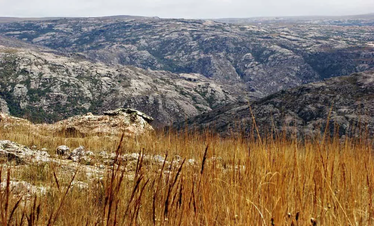Chaco Seco - Sierras desde Pampa de Achala, Córdoba [Foto: ArgentinaXplora]