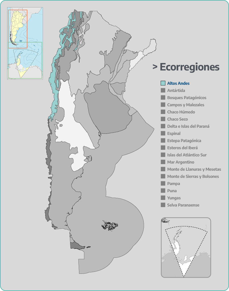 Altos andes
