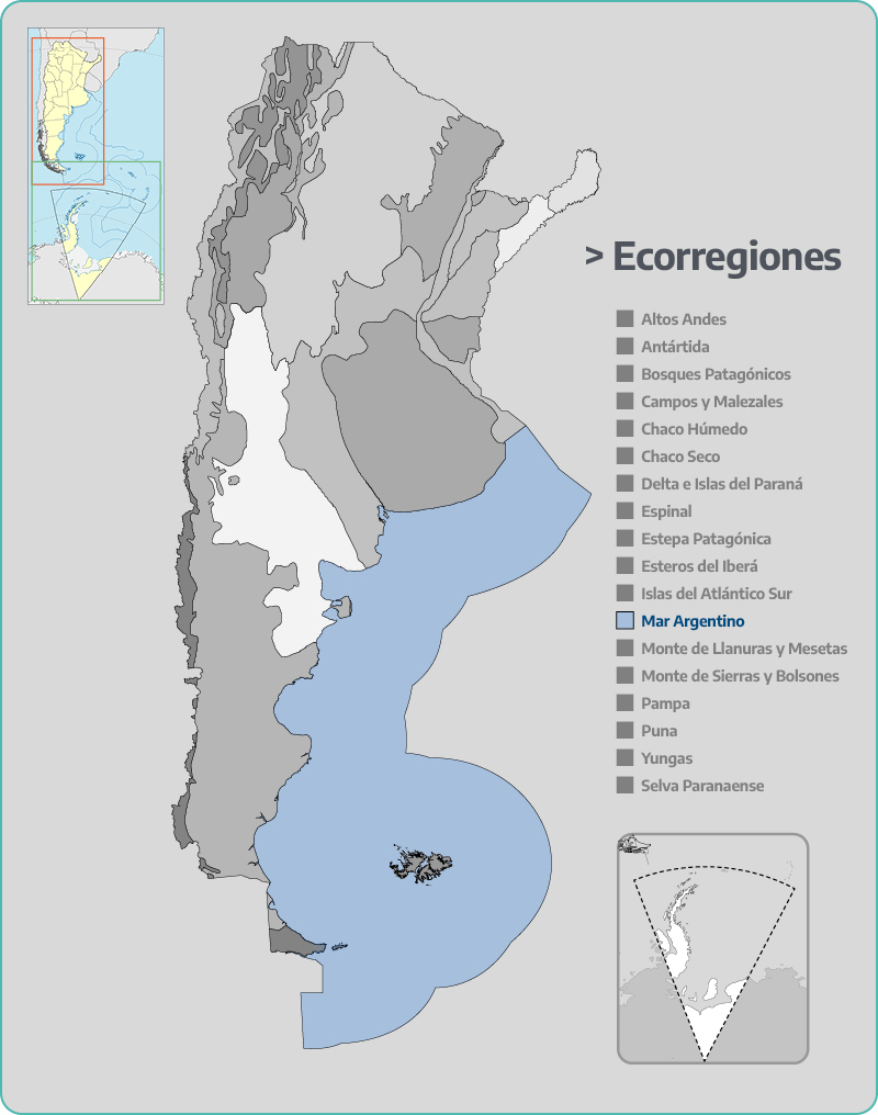 Mar Argentino
