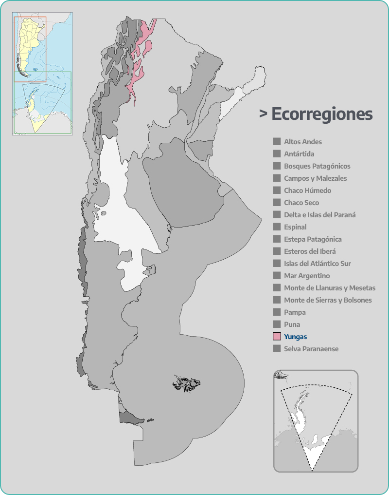 Yungas