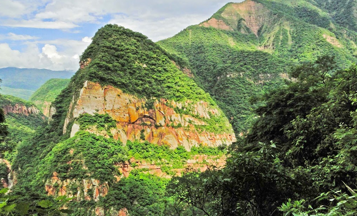Yungas I [Foto: TAFI Travel]
