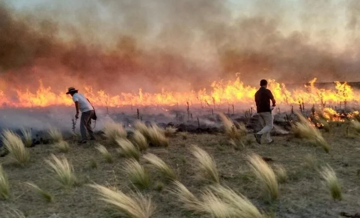 Incendio en el Sur de Mendoza [Foto: Revelando Nuestras Regiones]
