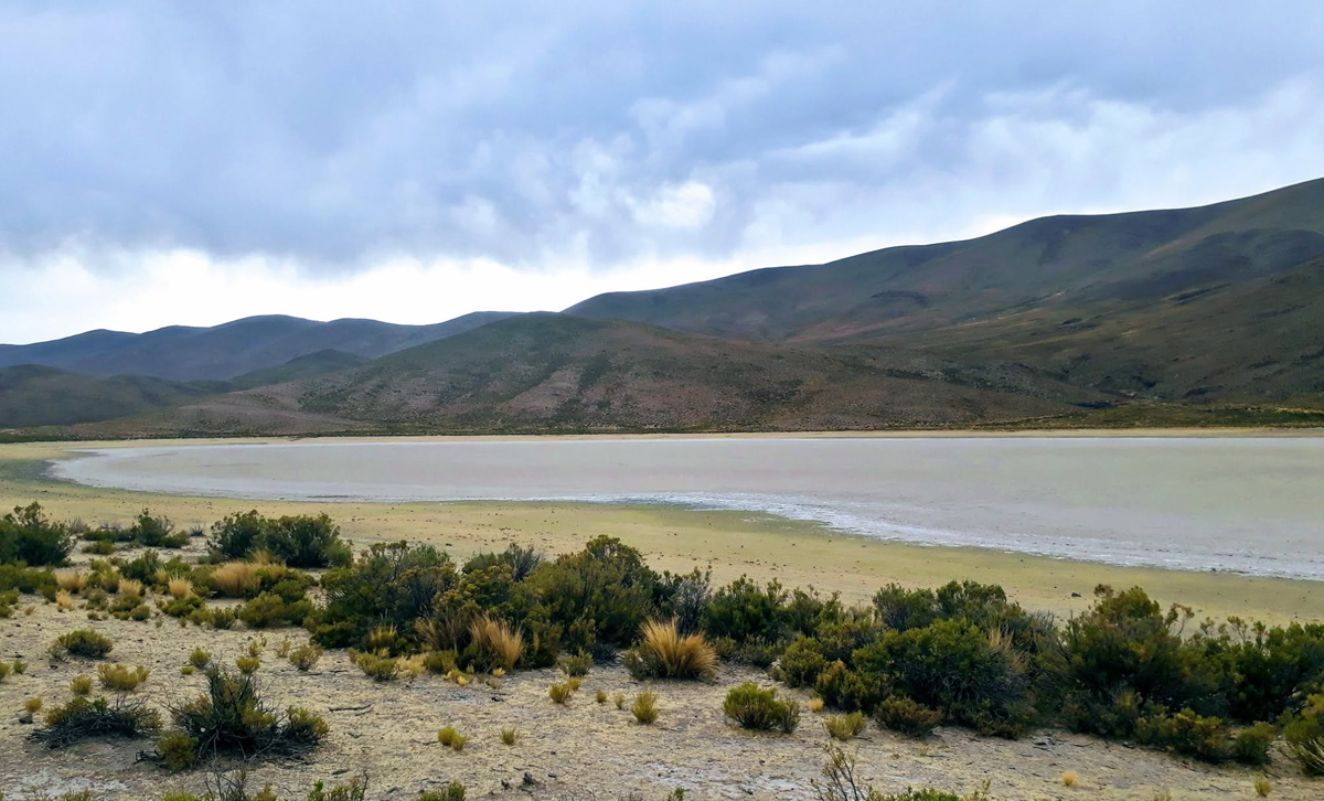 Laguna de los Pozuelos [Foto: Facebook: Casa de Jujuy en Buenos Aires]