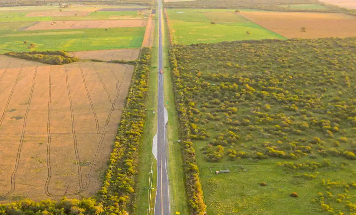 Pampa Entrerriana [Foto: Campos en Entre Rios]