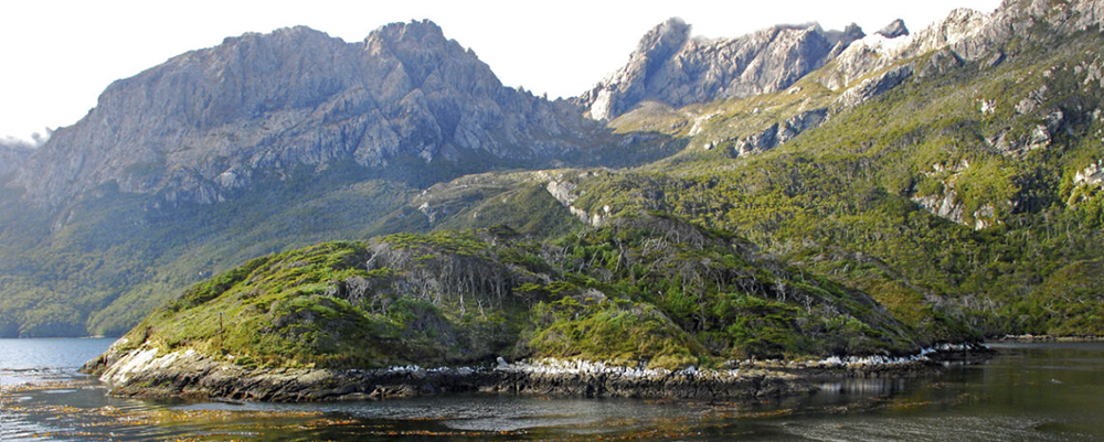 Reserva Natural Silvestre Isla de los Estados.