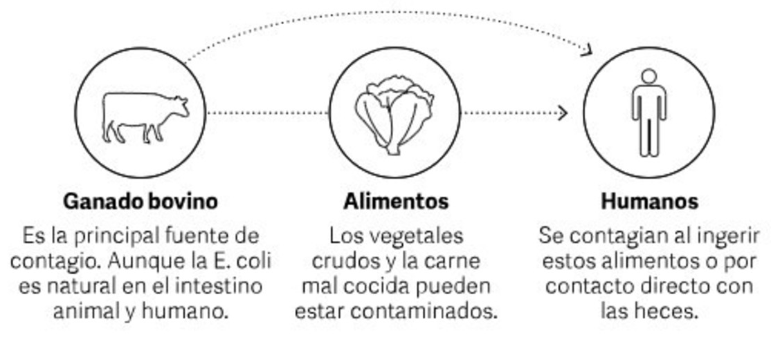 ¿Que provoca la enfermedad? [Imagen: Clarin]