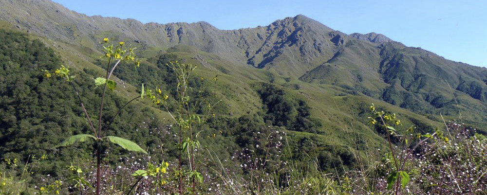 Reserva Nacional El Nogalar de Los Toldos